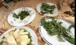 网红大鹅 今日吃瓜爆料,今日吃瓜大揭秘！